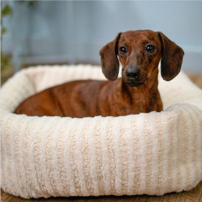 Лежак для кошек и собак мелких пород квадратный, 40х40х17 см, молочный – фото 4