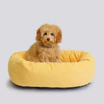 Лежак овальный для кошек и собак мелких пород, 61х48х17 см, желтый
