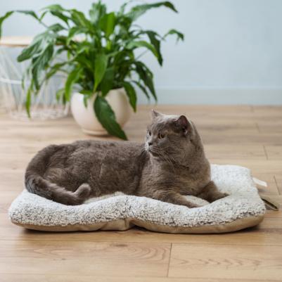 Матрас Косточка 61х43см, бежевый – фото 2