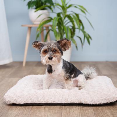 Матрасик для кошек и собак мелких и средних пород, 60х45х8 см, бежевый – фото 7