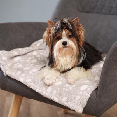 Плед с лапками для кошек и собак всех размеров Альв, 70x100 см