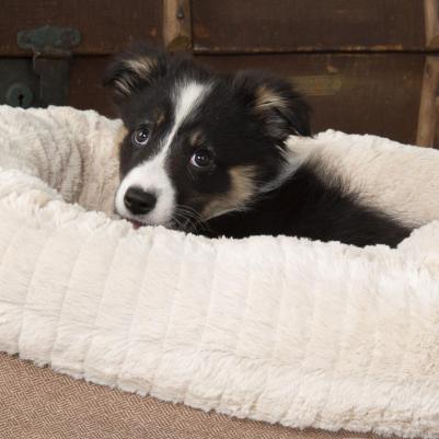 Лежак круглый, плюшевый для собак Ellen коричнево-бежевый 55см – фото 4