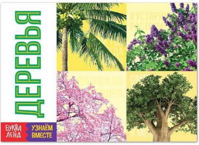 Пособие Обучающая книга Деревья 6257483 – фото 1