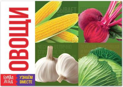 Пособие Обучающая книга Овощи 6257481 – фото 1