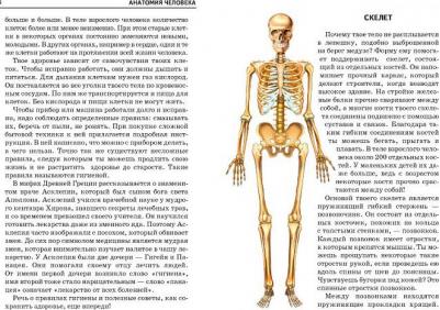 Афонькин Сергей Юрьевич. Анатомия человека – фото 6