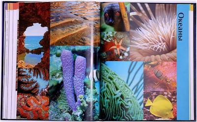 Аллаби Майкл. Земля. Иллюстрированный атлас – фото 17