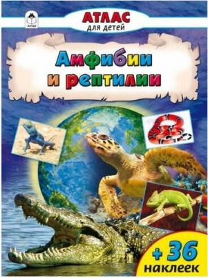 Амфибии и рептилии – фото 3