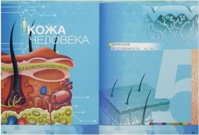Анатомия. Тело человека. Энциклопедия в дополненной реальности – фото 3