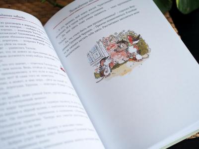 Андреас Х. Шмахтл. Тильда Яблочное Семечко. Большой переполох – фото 6