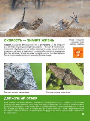 Аниашвили Ксения Сергеевна, Ликсо Вячеслав Владимирович, Кошевар Дмитрий Васильевич, Вайткене Любовь Дмитриевна. Гигантская детская 4D-энциклопедия – фото 4