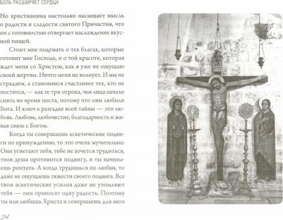 Архимандрит Андрей. Боль расширяет сердца. Беседы о скорбях и болезнях – фото 1