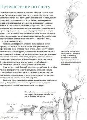 Арноски Джим. Дикий холод. Как животные выживают в самых холодных частях земли – фото 7