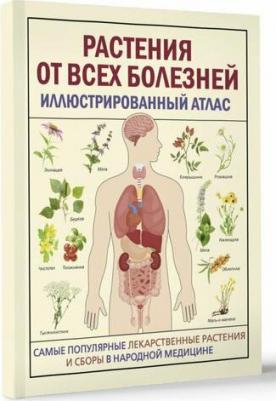 Артемова К. Растения от всех болезней. Иллюстрированный атлас 9785171621261 – фото 1
