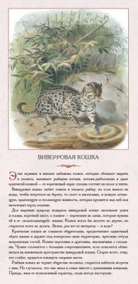 Астахова Наталия. Животный мир Южной Азии. Красивые звери – фото 2