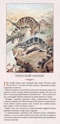 Астахова Наталия. Животный мир Южной Азии. Красивые звери – фото 3