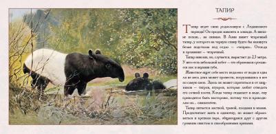 Астахова Наталия. Животный мир Южной Азии. Красивые звери – фото 10