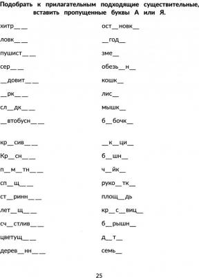 Асташина Ирина Викторовна. Стойкие ошибки на письме. Акустическая дисграфия у детей 7-10 лет – фото 2