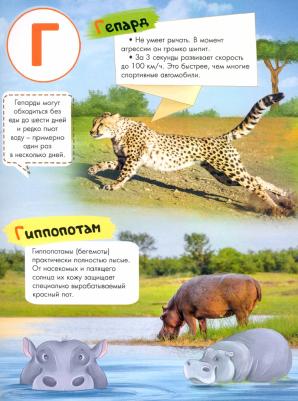 Азбука-энциклопедия интересных фактов о животном мире – фото 7
