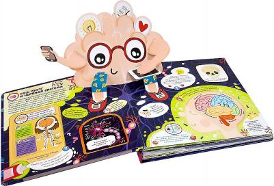 Бабенко У. Мозг. Компьютер в моей голове: книжка-панорамка. Интерактивная энциклопедия – фото 3