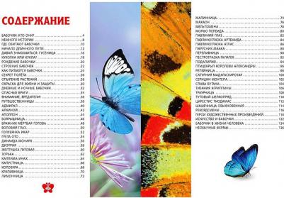 Бабочки. Детская энциклопедия – фото 3