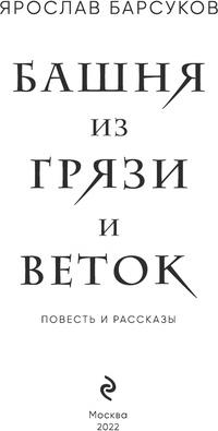 Барсуков Ярослав Владимирович. Башня из грязи и веток – фото 2