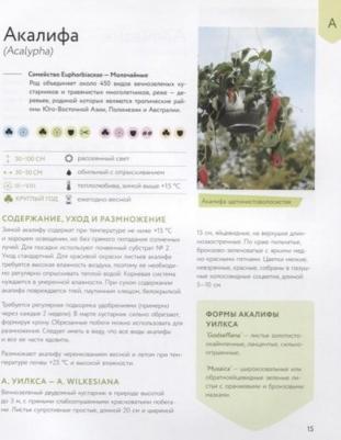 Березкина Ирина Валентиновна. Зеленый оазис. Комнатные растения от А до Я – фото 3