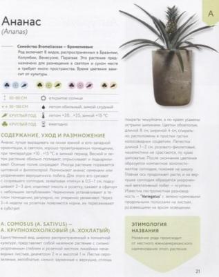 Березкина Ирина Валентиновна. Зеленый оазис. Комнатные растения от А до Я – фото 8