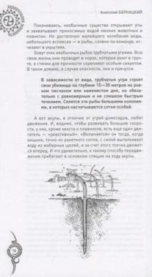 Бернацкий Анатолий Сергеевич. Удивительные животные. От дельфинов до обезьян – фото 5