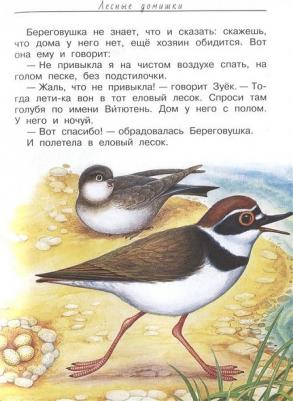 Бианки Виталий Валентинович, Сладков Николай Иванович, Пришвин Михаил Михайлович, Шим Эдуард Юрьевич. Лесные домишки. Сказки и рассказы – фото 2