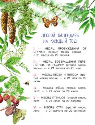 Бианки Виталий Валентинович. Лесная газета – фото 8