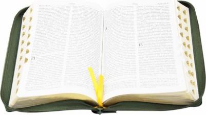 Библия. Книги Священного Писания Ветхого и Нового Завета 9785370049804 – фото 8