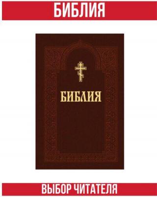 Библия. Книги Священного Писания Ветхого и Нового Завета 9789851847521