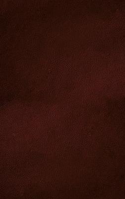 Библия. Новое подарочное оформление (бордовое с закрашенным обрезом) – фото 1