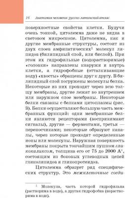 Билич Габриэль Лазаревич, Зигалова Елена Юрьевна. Анатомия человека. Русско-латинский атлас – фото 7