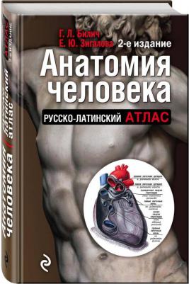 Билич Габриэль Лазаревич, Зигалова Елена Юрьевна. Анатомия человека. Русско-латинский атлас – фото 13