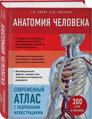 Билич Габриэль Лазаревич, Зигалова Елена Юрьевна. Анатомия человека. Современный атлас с подробными иллюстрациями – фото 1