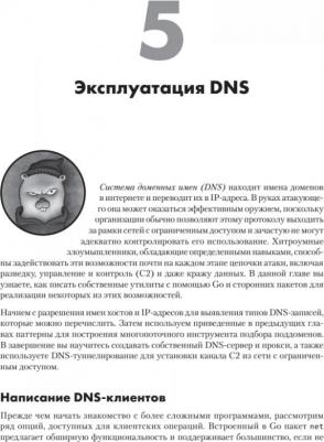 Black Hat Go: Программирование для хакеров и пентестеров – фото 1