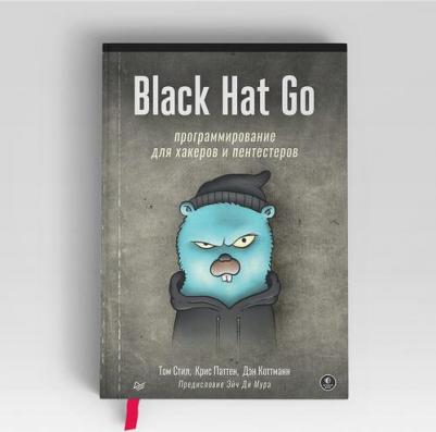 Black Hat Go: Программирование для хакеров и пентестеров – фото 5