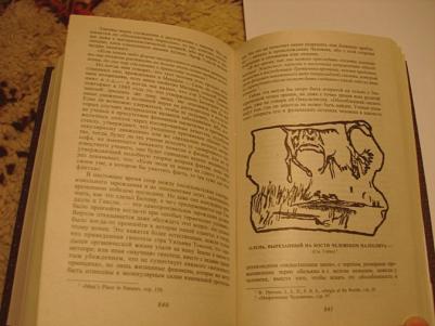Блаватская Е. Тайная доктрина. Синтез науки, религии и философии. Том 2. Антропогенезис – фото 4