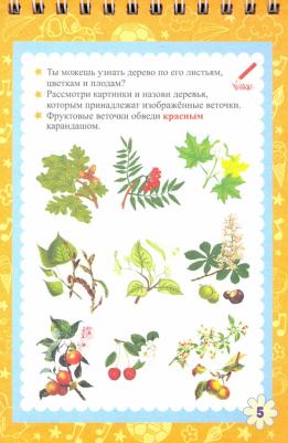 Блокнот занимательных заданий для детей 7-10 лет – фото 17