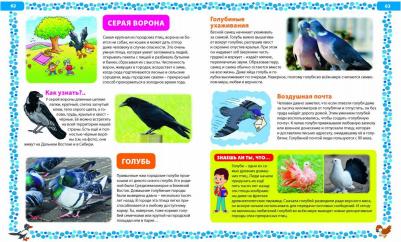 Большая о птицах. Иллюстрированная энциклопедия – фото 1