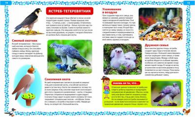 Большая о птицах. Иллюстрированная энциклопедия – фото 12