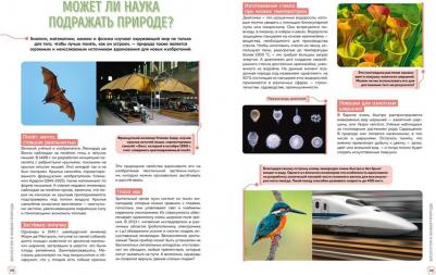 Босье Сильви. Школьная энциклопедия. 50 неразгаданных загадок науки – фото 6