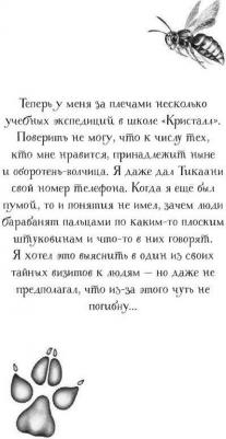 Брандис Катя. Дети леса. Тайна Холли – фото 4