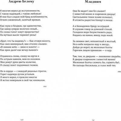 Брюсов Валерий Яковлевич. Выбор Ивана Волкова – фото 2