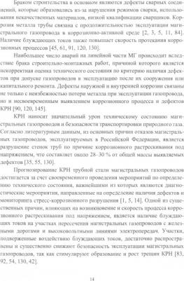 Буклешев Дмитрий Олегович. Разработка высокоэффективного метода диагностики околошовных зон сварных соединений – фото 1