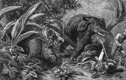 Буссенар Луи Анри. Похитители бриллиантов 9785389154209 – фото 3