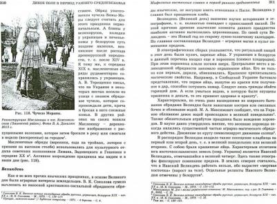 Бутенко Юрий Александрович. Дикое Поле в период раннего средневековья – фото 2