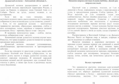 Царюк Д., Алексеев В. Лечебные злаки и ваша внешность – фото 1