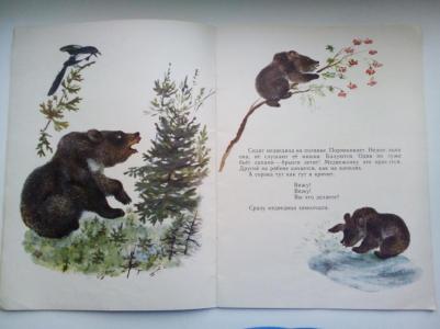 Чарушин Евгений Иванович. Болтливая сорока – фото 2